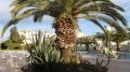 Emerald Isle Landscaped